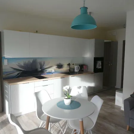 Nika Pool&spa 5morz 시아노제티